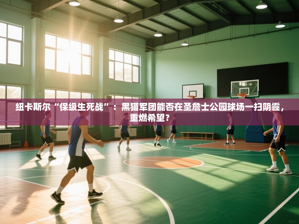 纽卡斯尔“保级生死战”:黑猫军团能否在圣詹士公园球场一扫阴霾,重燃希望? 第2张